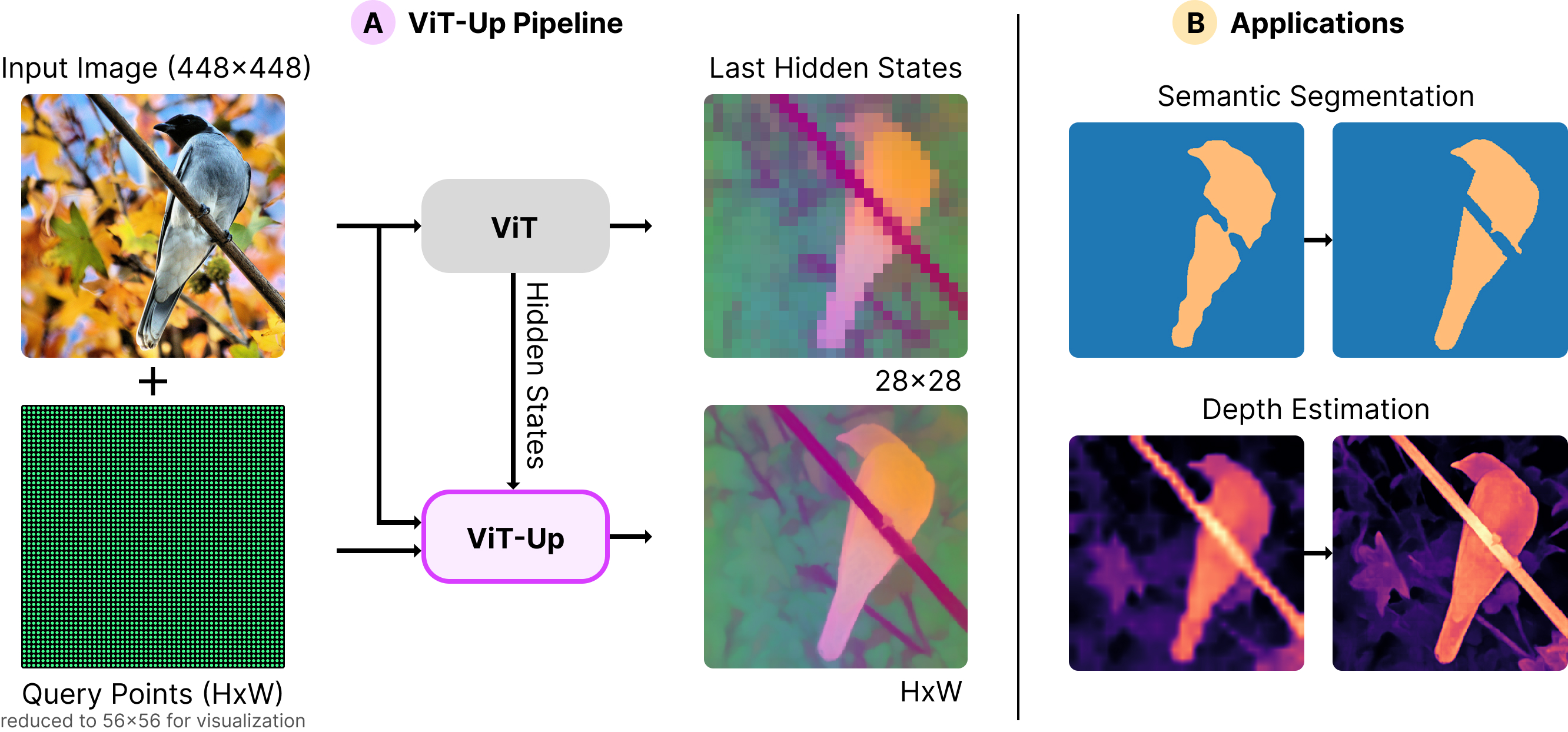 ViT-Up model overview figure